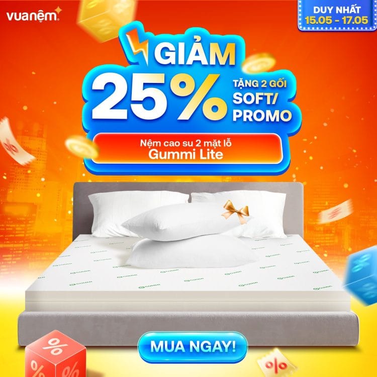 Nệm cao su 2 mặt lỗ Gummi Lite