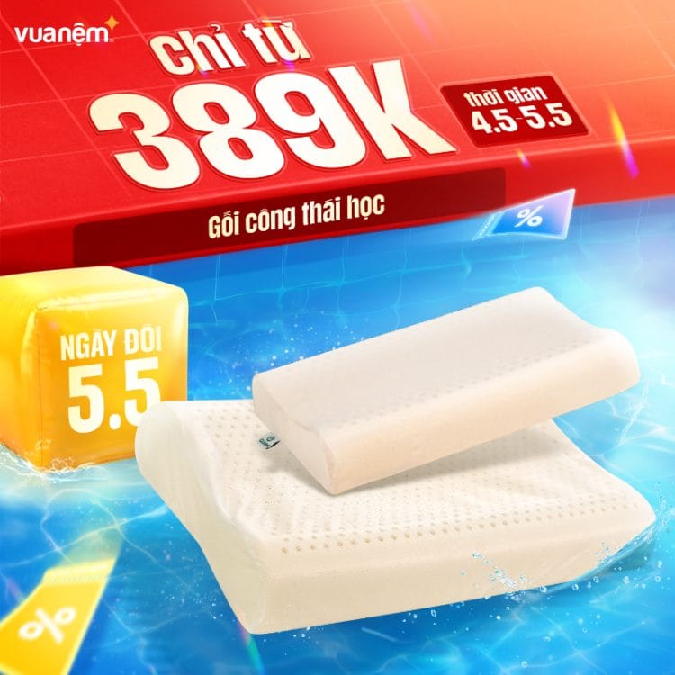 Gối công thái học