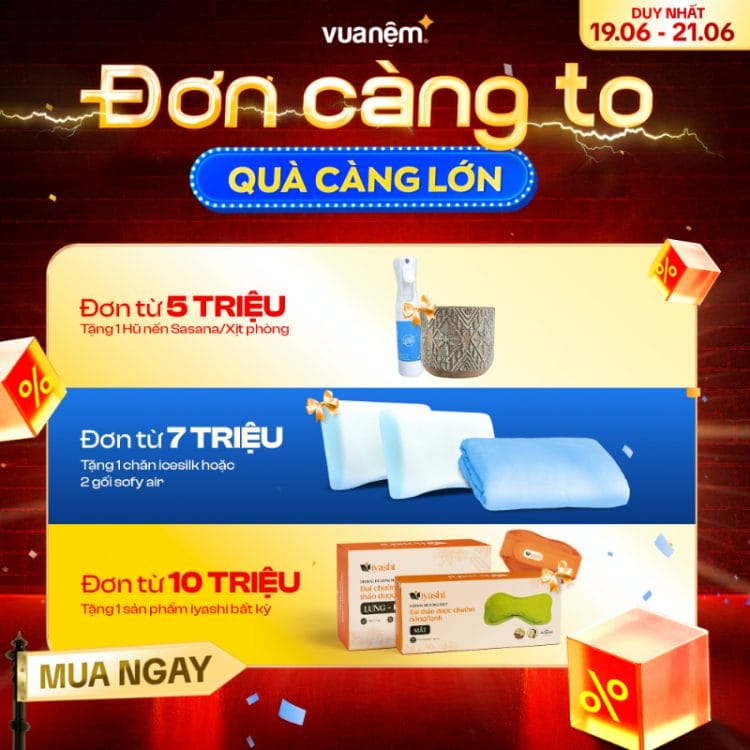 ĐƠN CÀNG TO - QUÀ CÀNG LỚN