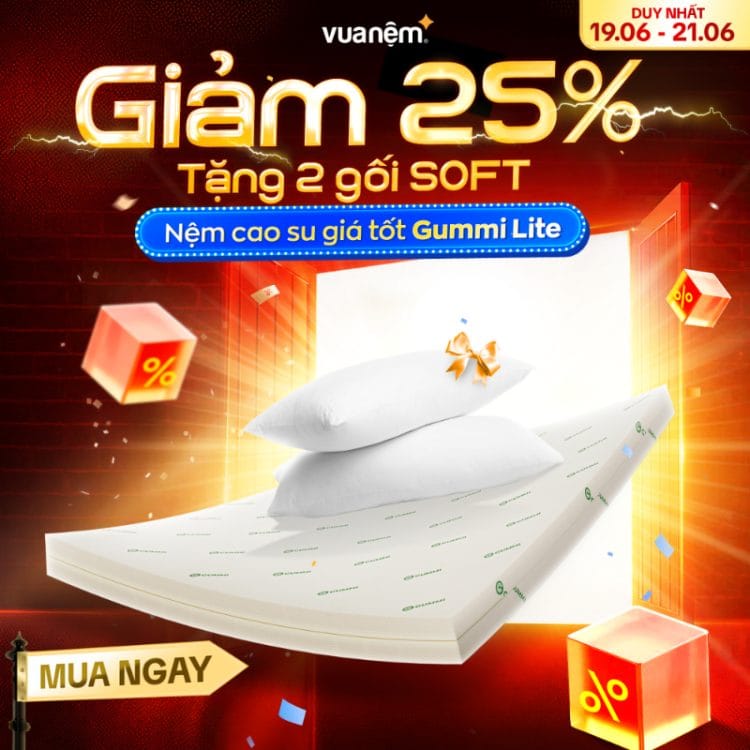 Nệm cao su giá tốt Gummi Lite