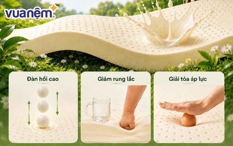 dien vien hoang hai review nem gummi classic 6