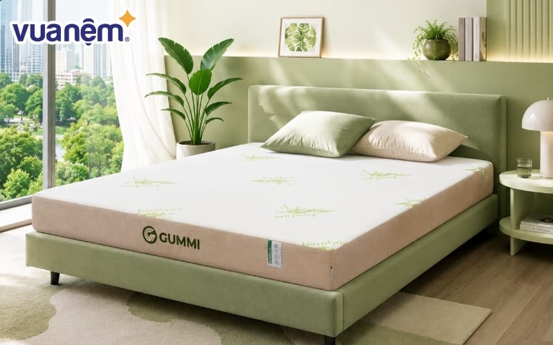 Nệm cao su Gummi Hybrid
