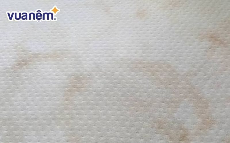 Mồ hôi khiến nệm ẩm ướt, dễ sinh vi khuẩn và nấm mốc
