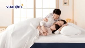 Top 10 mẫu nệm 3 người nằm chất lượng, giá tốt 2026