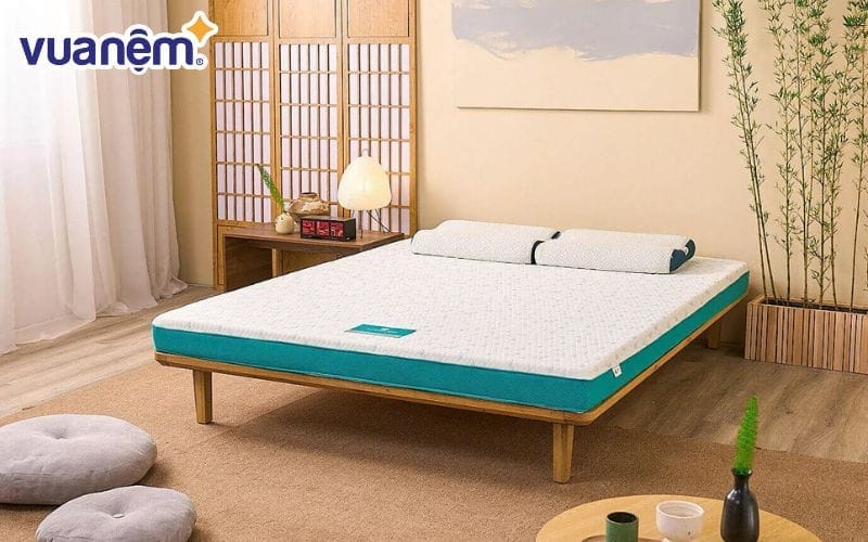 Nệm Aeroflow Standard