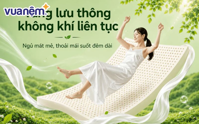 Nệm Gummi Classic