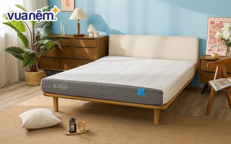 Nệm foam iComfy Coolax Plus băng lạnh
