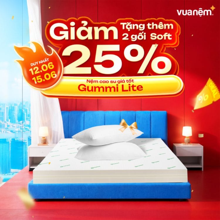 Nệm cao su giá tốt Gummi Lite
