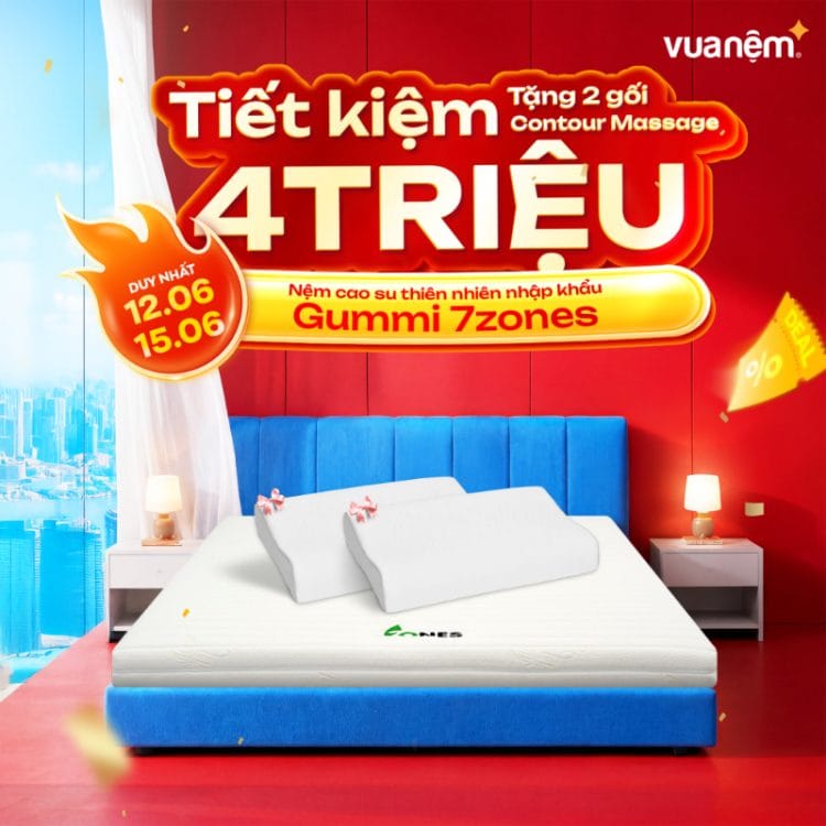 Nệm cao su thiên nhiên nhập khẩu Gummi 7zones