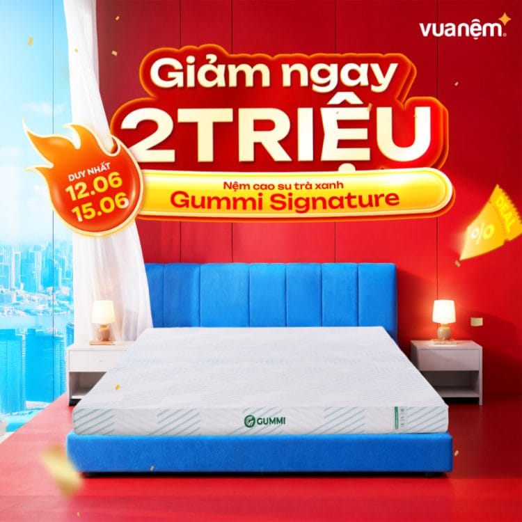 Nệm cao su trà xanh Gummi Signature