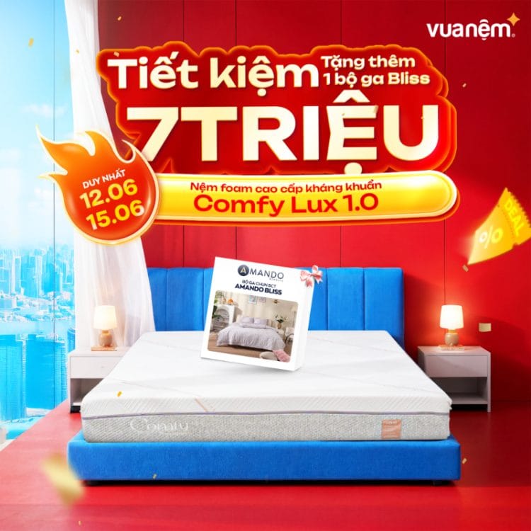 Nệm foam cao cấp kháng khuẩn Comfy Lux 1.0