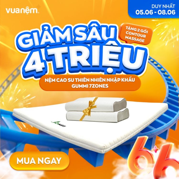 Nệm cao su nhập khẩu Gummi Legend