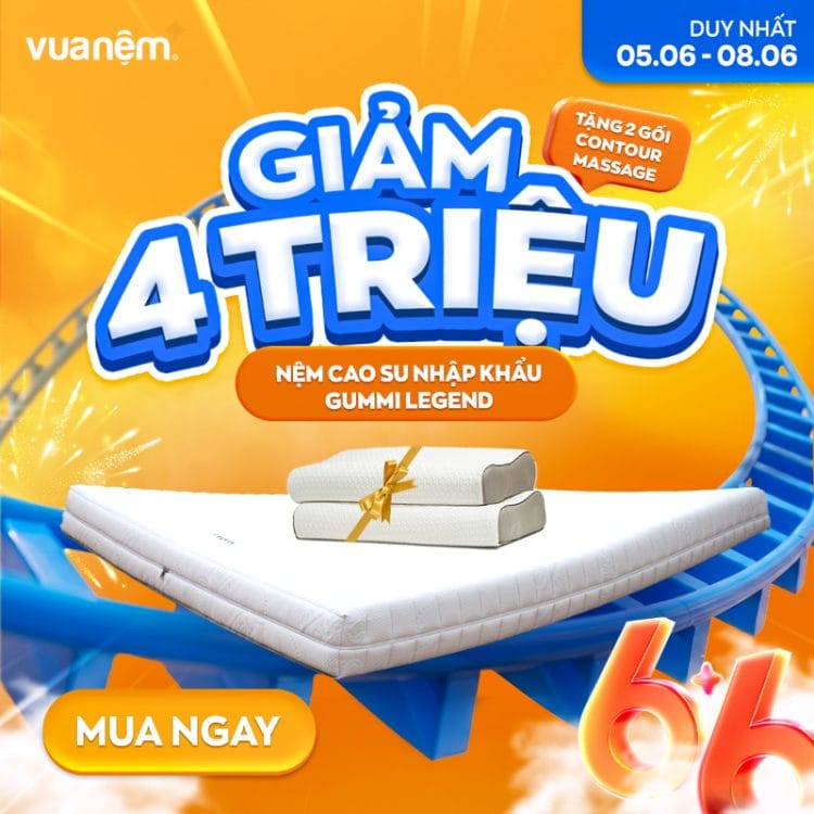 Nệm cao su thiên nhiên nhập khẩu Gummi 7zones