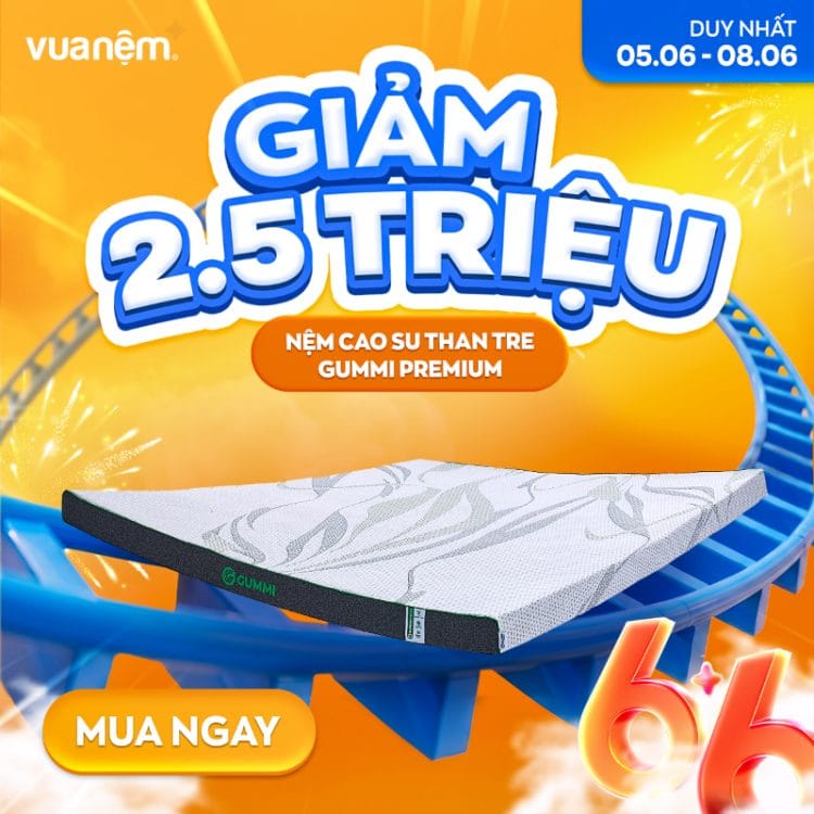 Nệm cao su than tre Gummi Premium