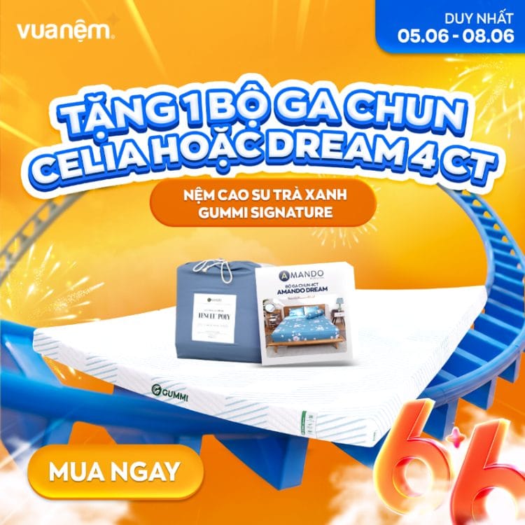 Nệm cao su trà xanh Gummi Signature