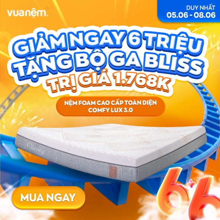 Nệm foam cao cấp toàn diện Comfy Lux 3.0