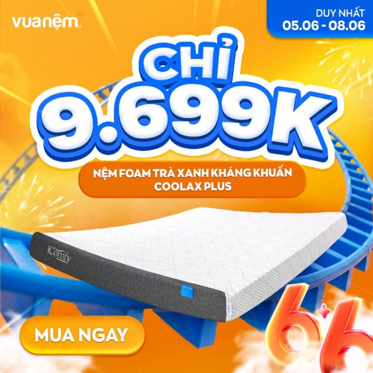 Nệm foam trà xanh kháng khuẩn iComfy Coolax Plus