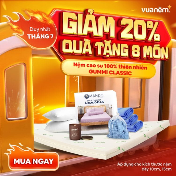Nệm cao su 100% thiên nhiên Gummi Classic