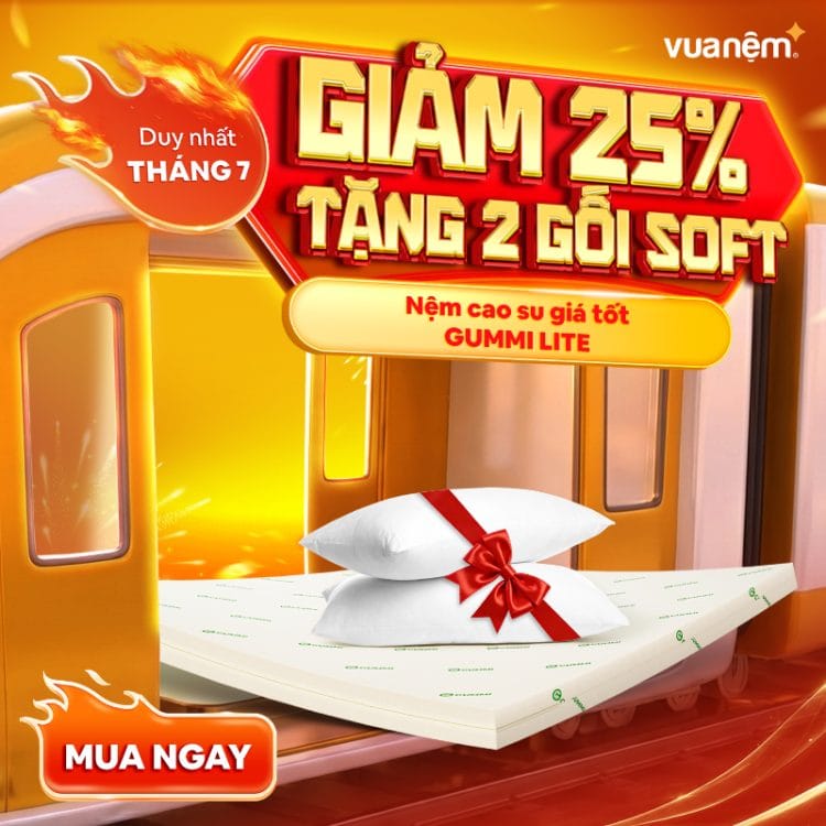 Nệm cao su giá tốt Gummi Lite