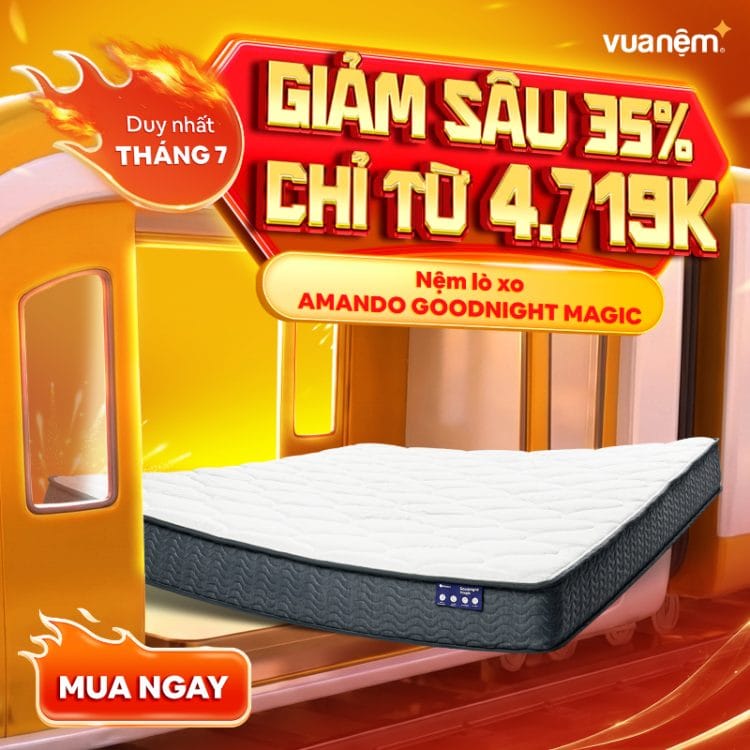 Nệm lò xo giảm đau lưng Amando Eco