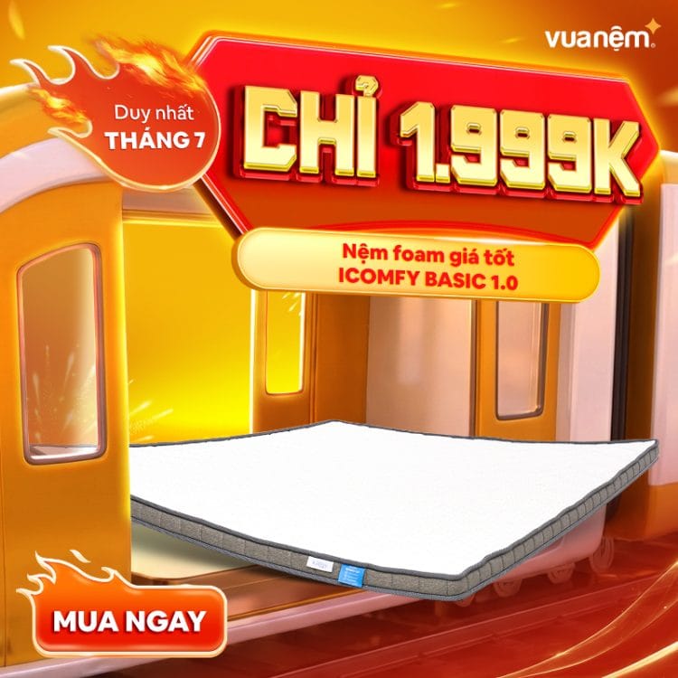 Nệm foam giá tốt iComfy Basic 1.0