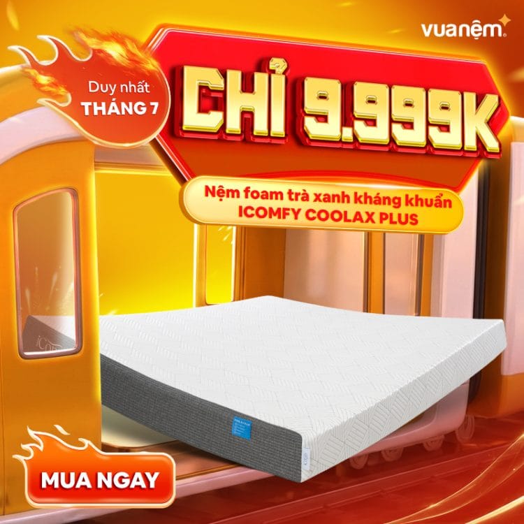 Nệm foam trà xanh kháng khuẩn iComfy Coolax Plus
