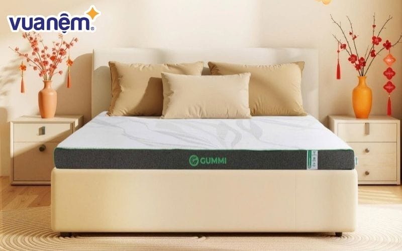 Vua Nệm - Địa chỉ mua nệm cao su chất lượng