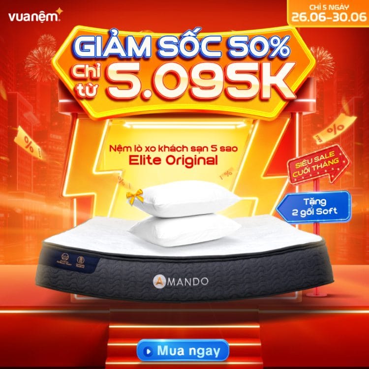 Nệm lò xo khách sạn 5 sao Amando Elite Original