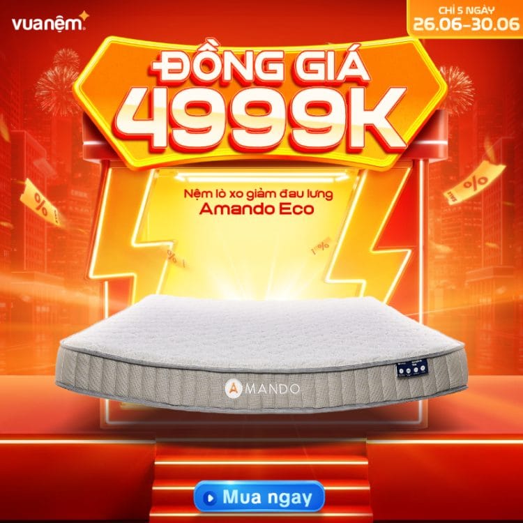 Nệm lò xo giảm đau lưng Amando Eco