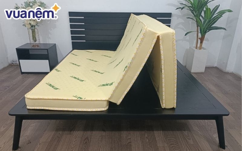 Trên thị trường hiện nay có nhiều dòng nệm gấp cao su