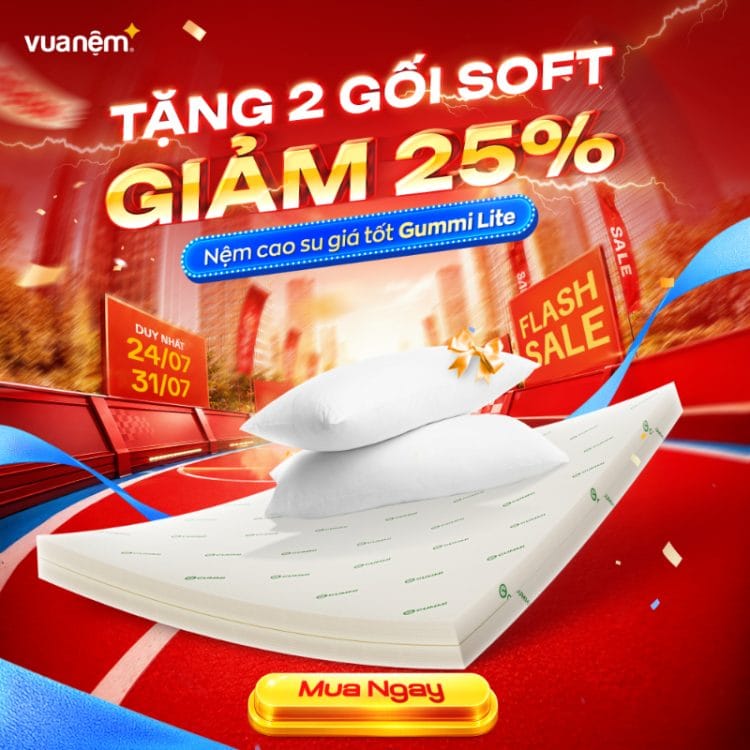 Nệm cao su giá tốt Gummi Lite