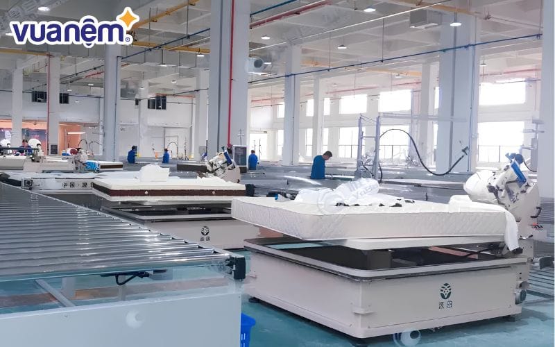 Dây chuyền sản xuất hiện đại, tự động hóa