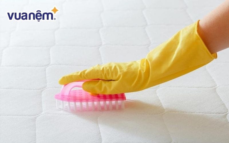 Dùng bàn chải làm sạch nhẹ nhàng bề mặt nệm cao su
