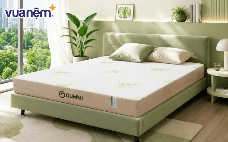 Nệm cao su Gummi Hybrid