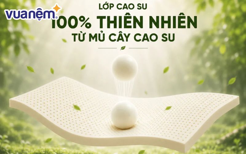 Nệm cao su đa tầng Gummi Lite