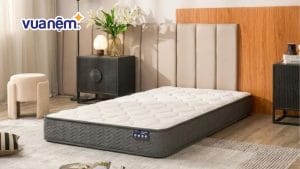 Top 08 mẫu nệm đơn 1 người nằm đáng mua nhất năm 2026