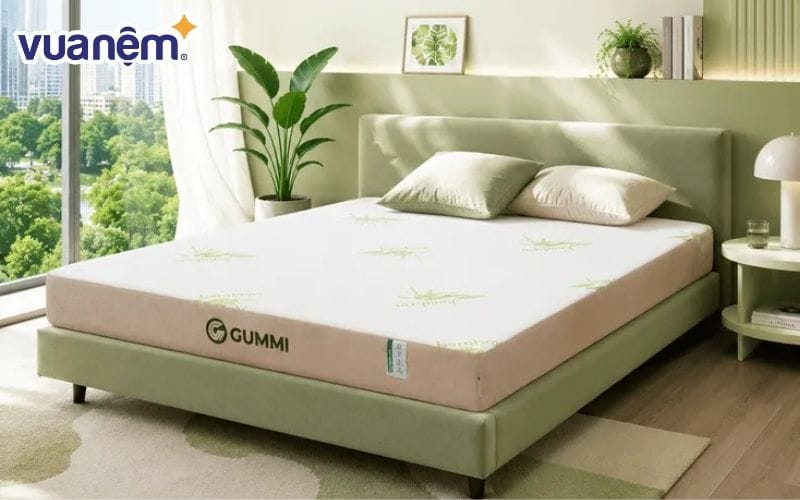 Nệm đơn Gummi Hybrid