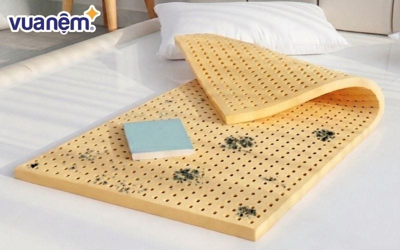 Nệm sử dụng lâu ngày xuất hiện nấm mốc