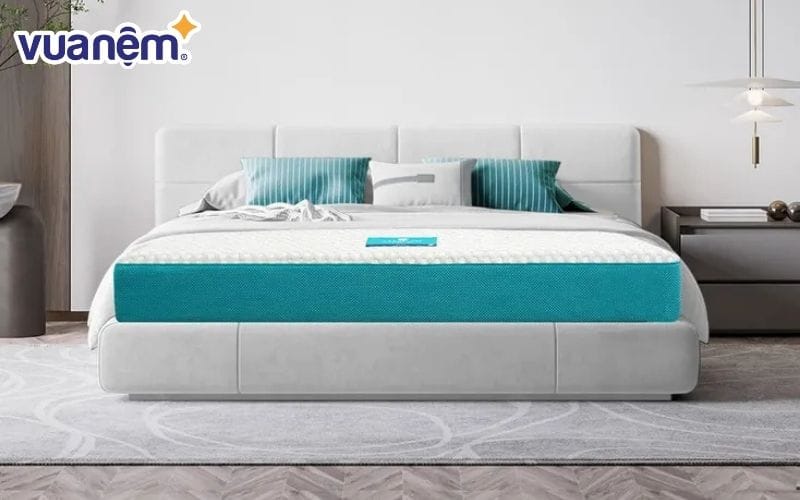 So sánh nệm foam và nệm cao su nên chọn loại nệm nào?