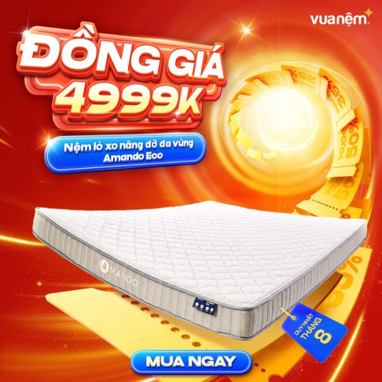 Nệm lò xo nâng đỡ đa vùng Amando Eco
