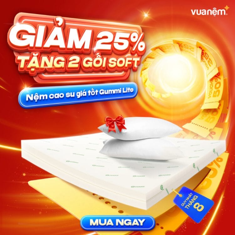 Nệm cao su giá tốt Gummi Lite