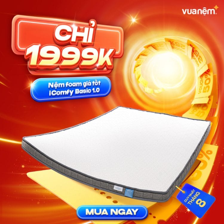 Nệm foam giá tốt iComfy Basic 1.0