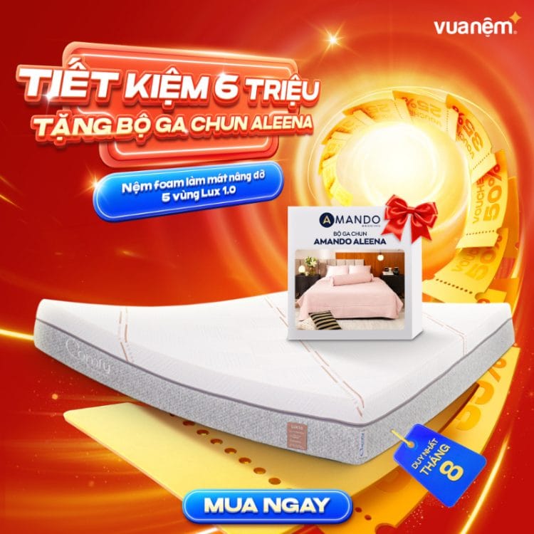 Nệm foam làm mát nâng đỡ 5 vùng Comfy Lux 1.0