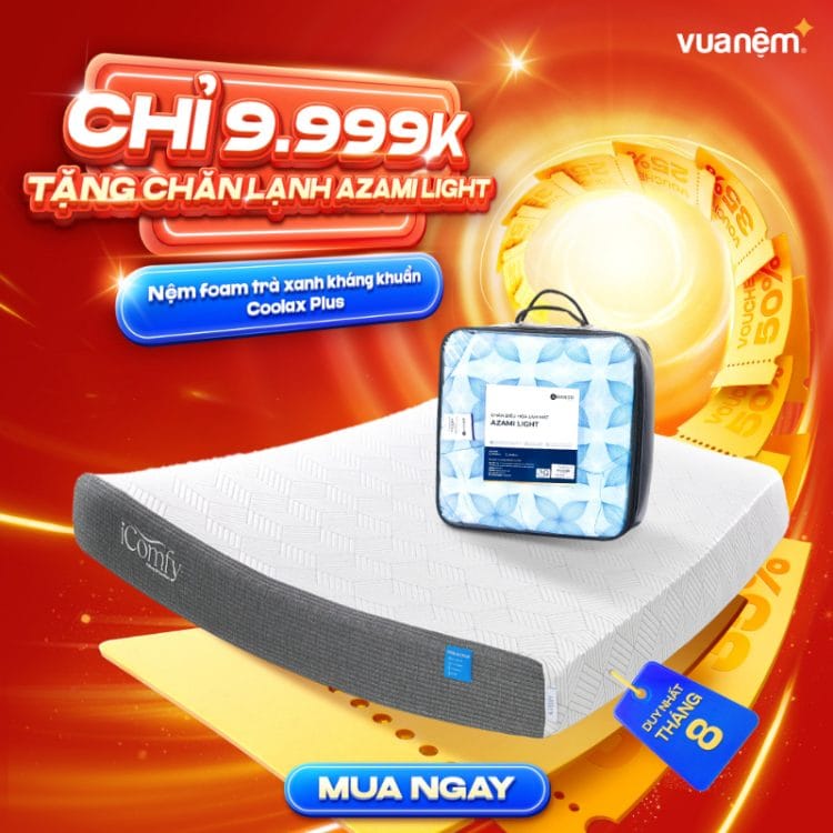 Nệm foam trà xanh kháng khuẩn iComfy Coolax Plus