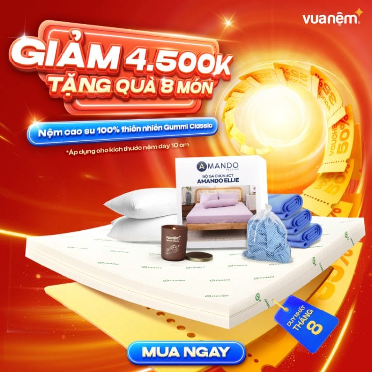 Nệm cao su 100% thiên nhiên Gummi Classic