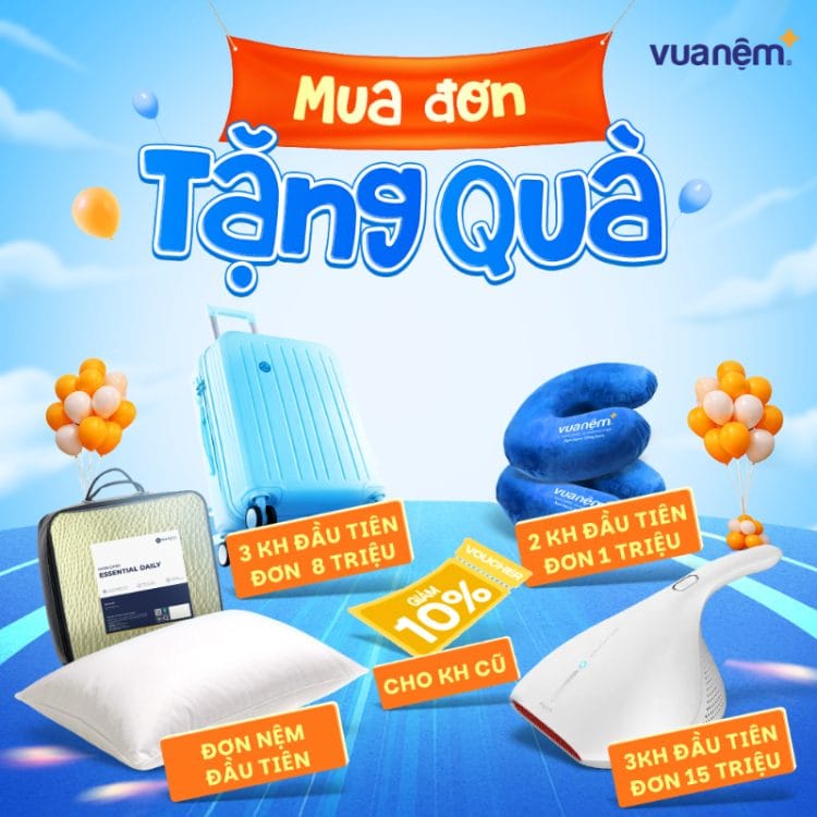 Đơn càng to - Quà càng hời