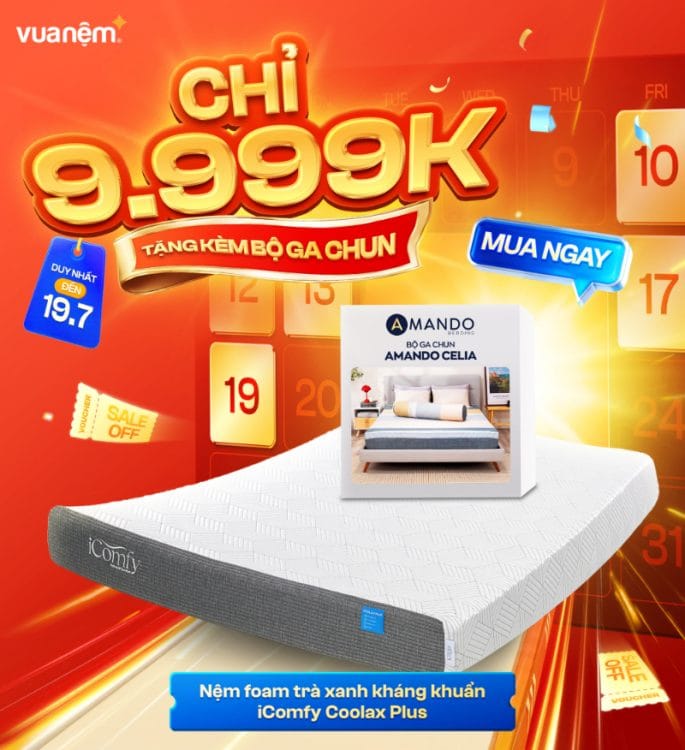 Nệm foam trà xanh kháng khuẩn iComfy Coolax Plus