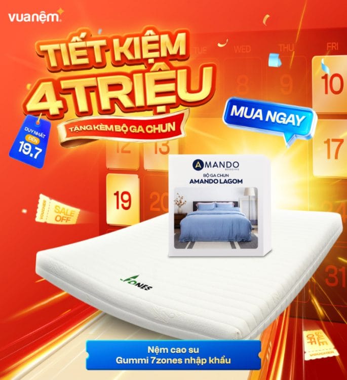 Nệm cao su Gummi 7zones nhập khẩu
