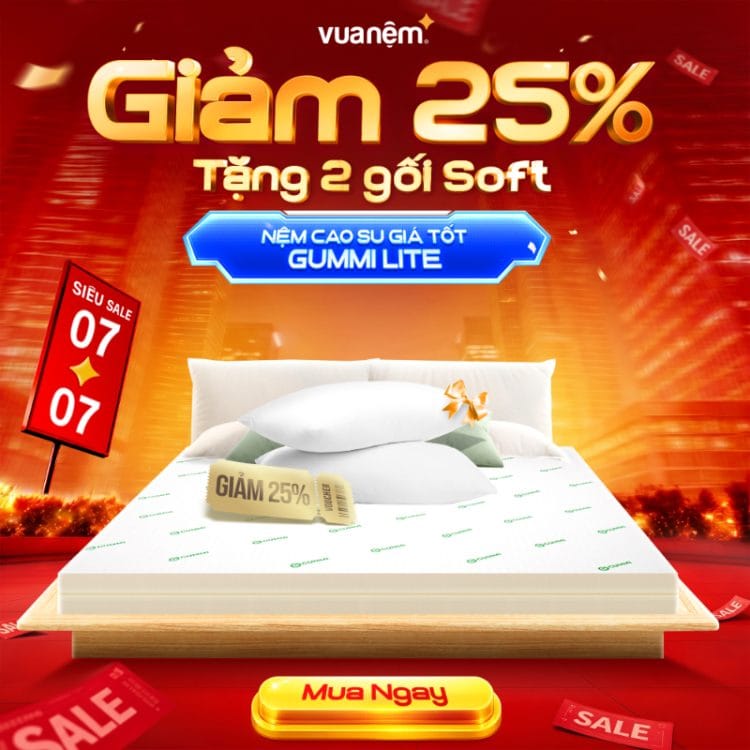 Nệm cao su giá tốt Gummi Lite