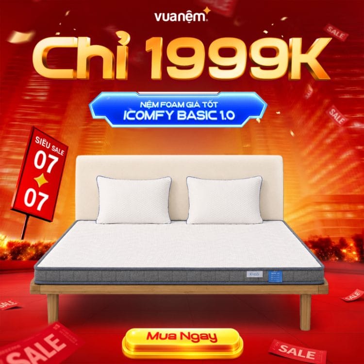 Nệm foam giá tốt iComfy Basic 1.0